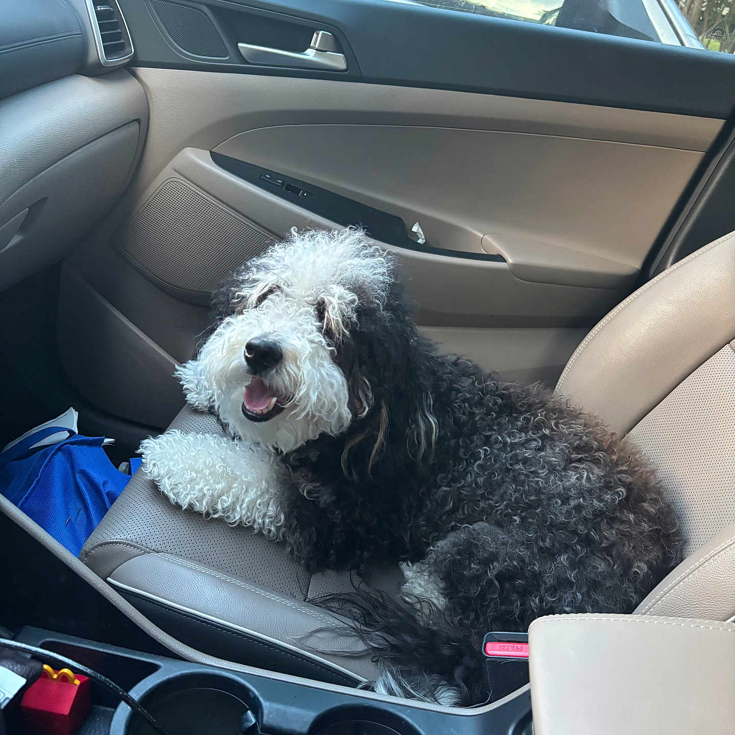 Maggie