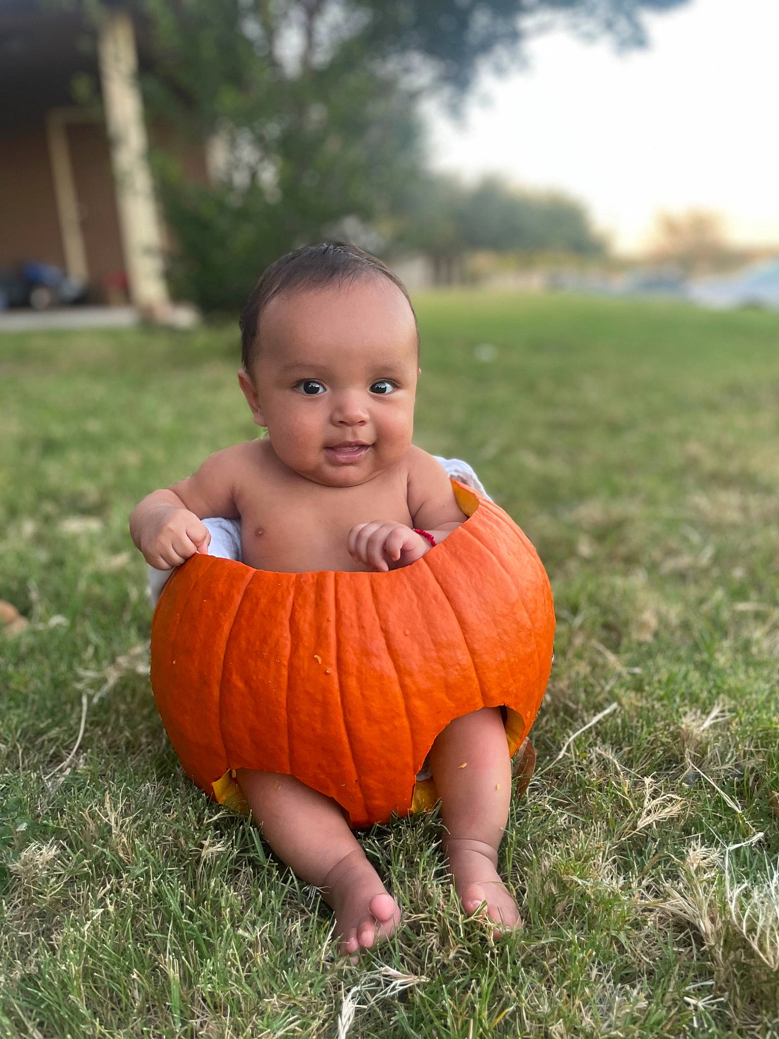 Ivan joined the competition — help win amazing prizes! baby, calabaza, cucurbita, dress, face, gourd, grass, happy, natural_foods, people_in_nature, person, plant, pumpkin, sky, smile, squash, toddler, tree, vegetable, winter_squash