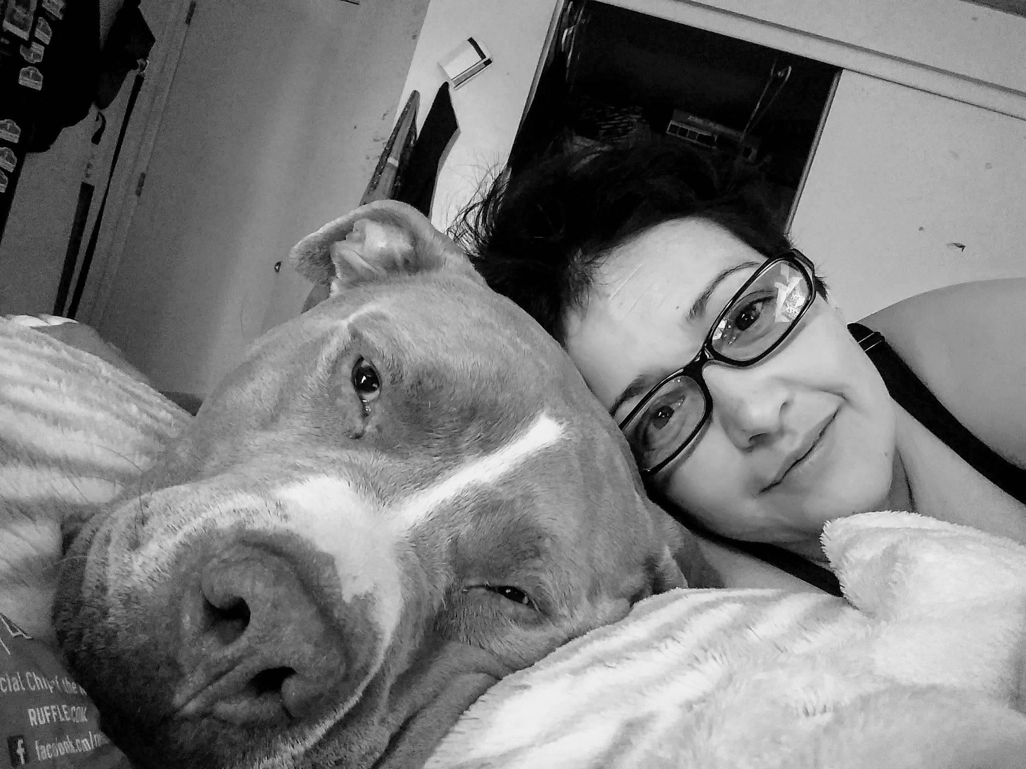 Kingston joined the competition — help win amazing prizes! american_staffordshire_terrier, black_and_white, bull_and_terrier, canidae, dog, dog_breed, ear, eye, glasses, great_dane, head, lip, mouth, non_sporting_group, nose, photography, pit_bull, smile, snout, sporting_group