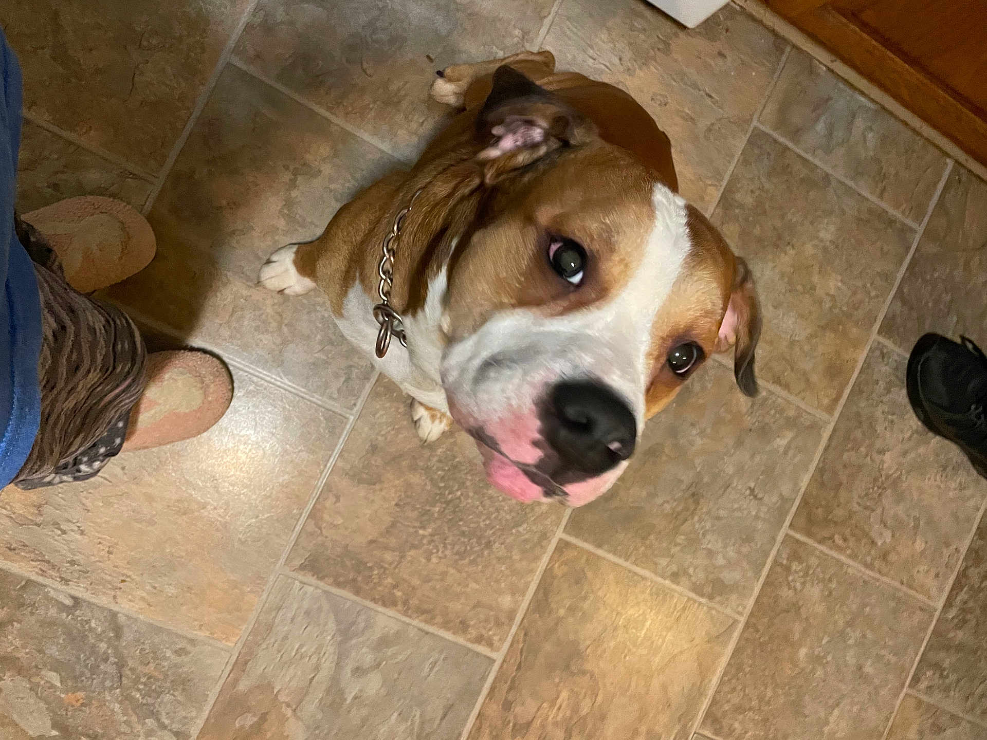 Taco