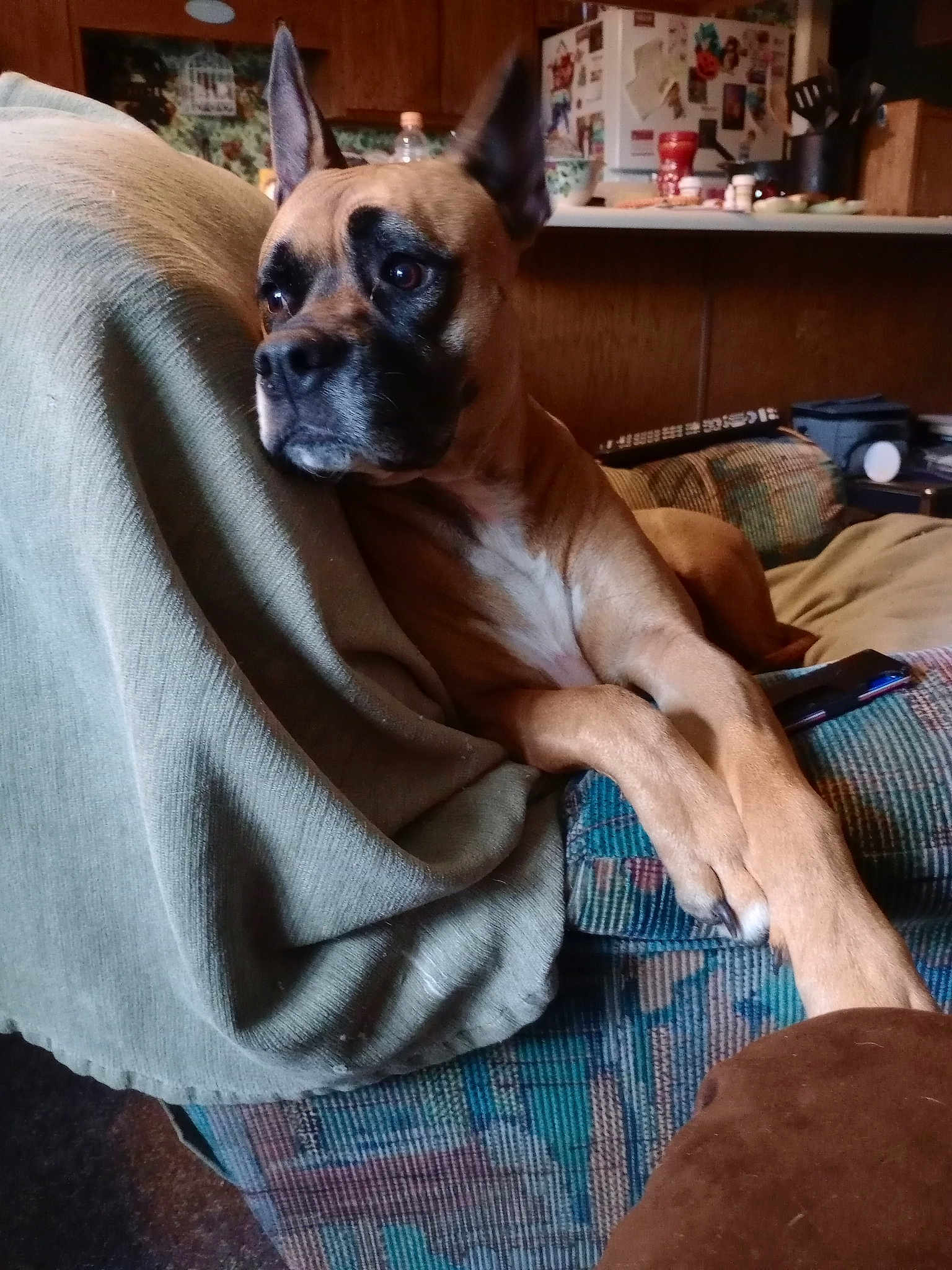 Quinn