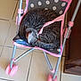 cat, tabby_cat, sleeping, curled_up, stroller, pink, gray, polka_dot, indoor, tile_floor, home, pet, animal, resting, feline, wheel, metal_frame, cute, small, cozy