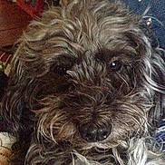 Onyx is registered to the contest to win money with this photo: