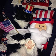 Yaley is registered to the contest to win money with this photo: