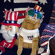 Shiloh is registered to the contest to win money with this photo: