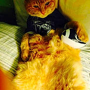 Shiloh is registered to the contest to win money with this photo: