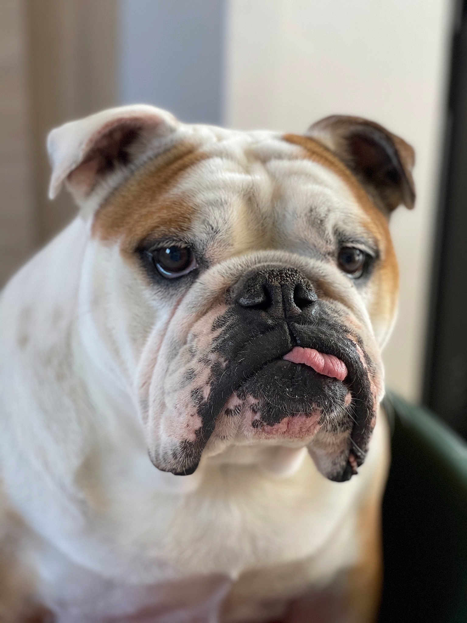 Molly