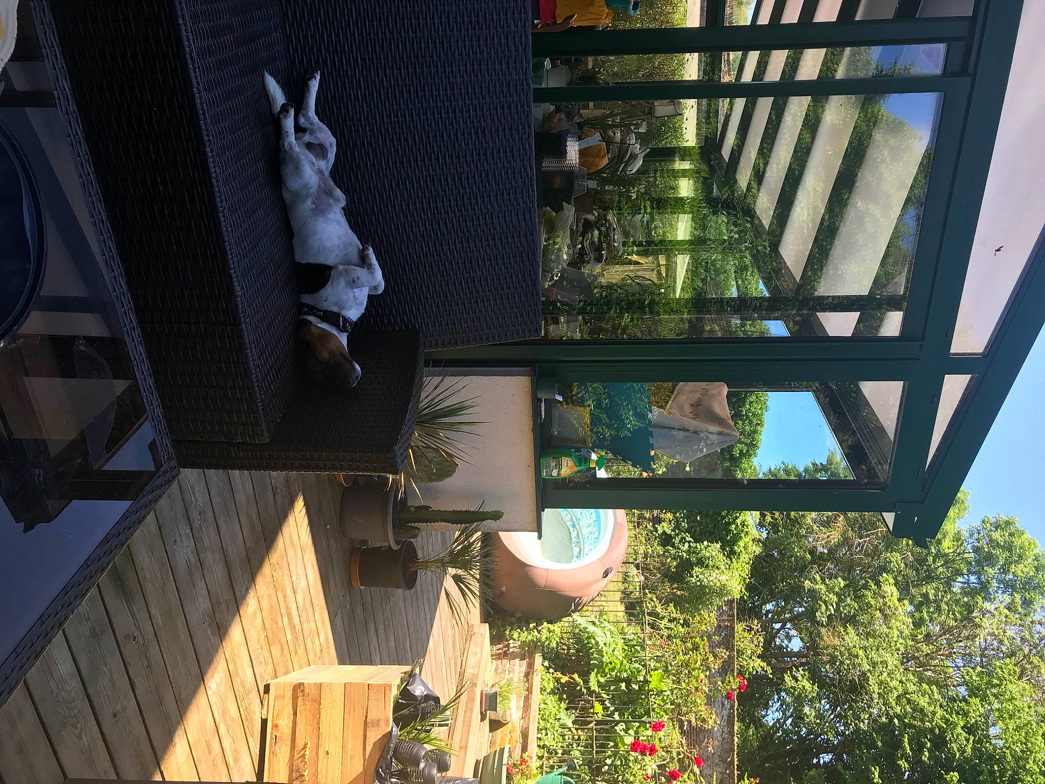 Volt a rejoint le concours — aidez-le/la à gagner de superbes lots ! architecture, art, building, facade, glass, leisure, line, metal, mixed_use, plant, room, sculpture, shade, shadow, sky, tints_and_shades, tree, urban_design, window, wood