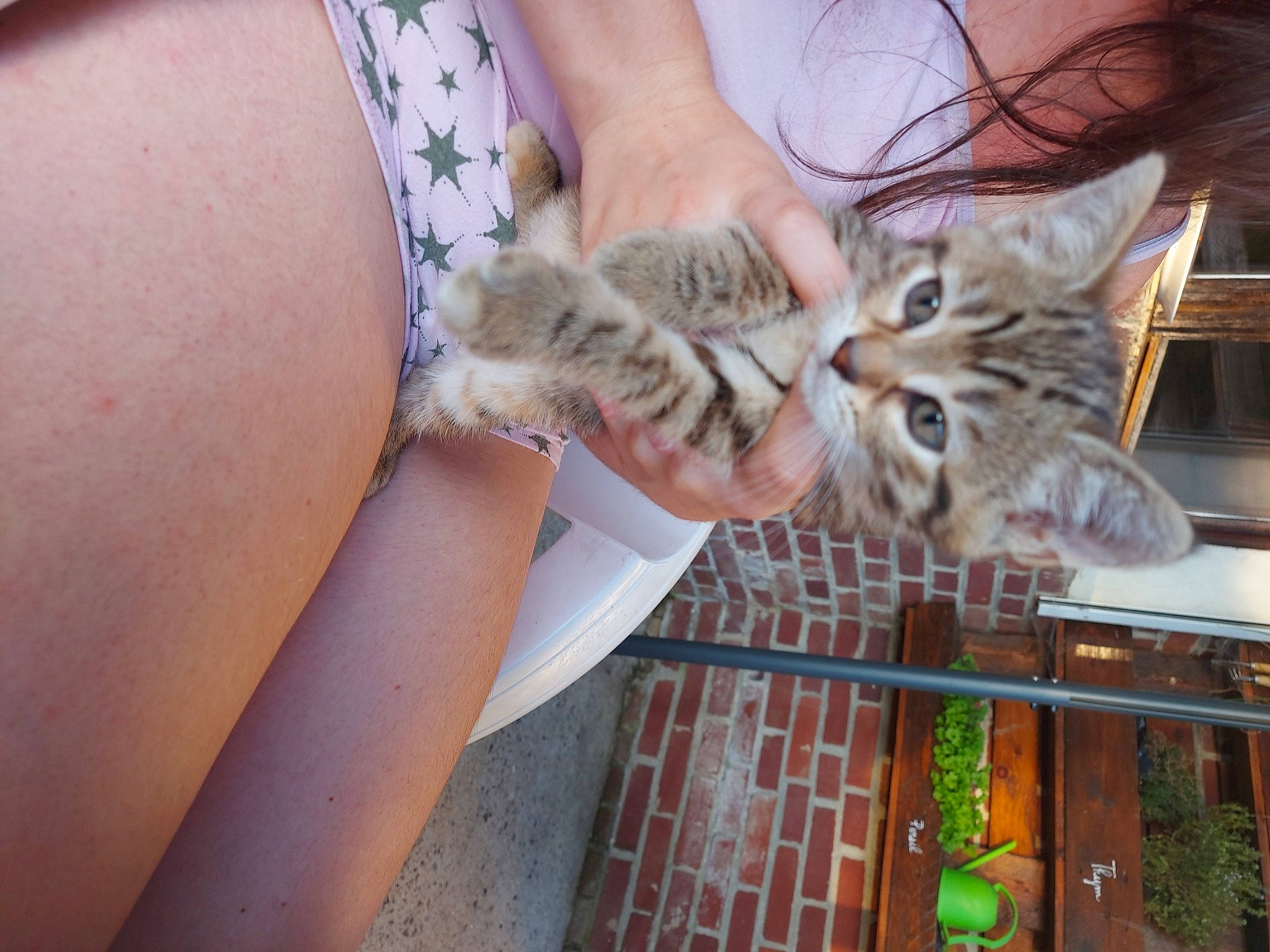 Sweety participe au concours pour gagner de l'argent avec cette photo : carnivore, cat, child, claw, domestic_short_haired_cat, fawn, felidae, finger, fur, gesture, hand, human_leg, jewellery, nail, pattern, paw, small_to_medium_sized_cats, whiskers, wildlife, wood