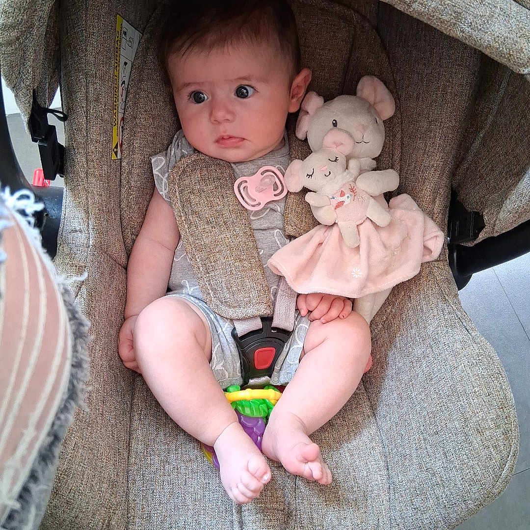 Kelly participe au concours pour gagner de l'argent avec cette photo : baby, car_seat, child, closeup, comfort, cute, expression, fabric, foot, hand, indoor, infant, pacifier, pink, plush_toy, seat_belt, sitting, skin, soft_toy, toy