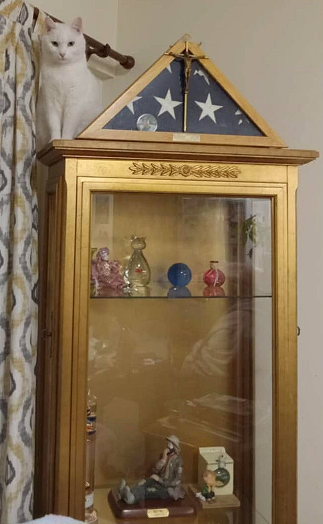 adult, animal, cabinet, cat, chinacabinet, christmas, christmasdecorations, closet, cupboard, face, festival, furniture, head, indoors, interiordesign, male, man, person, pet, wood