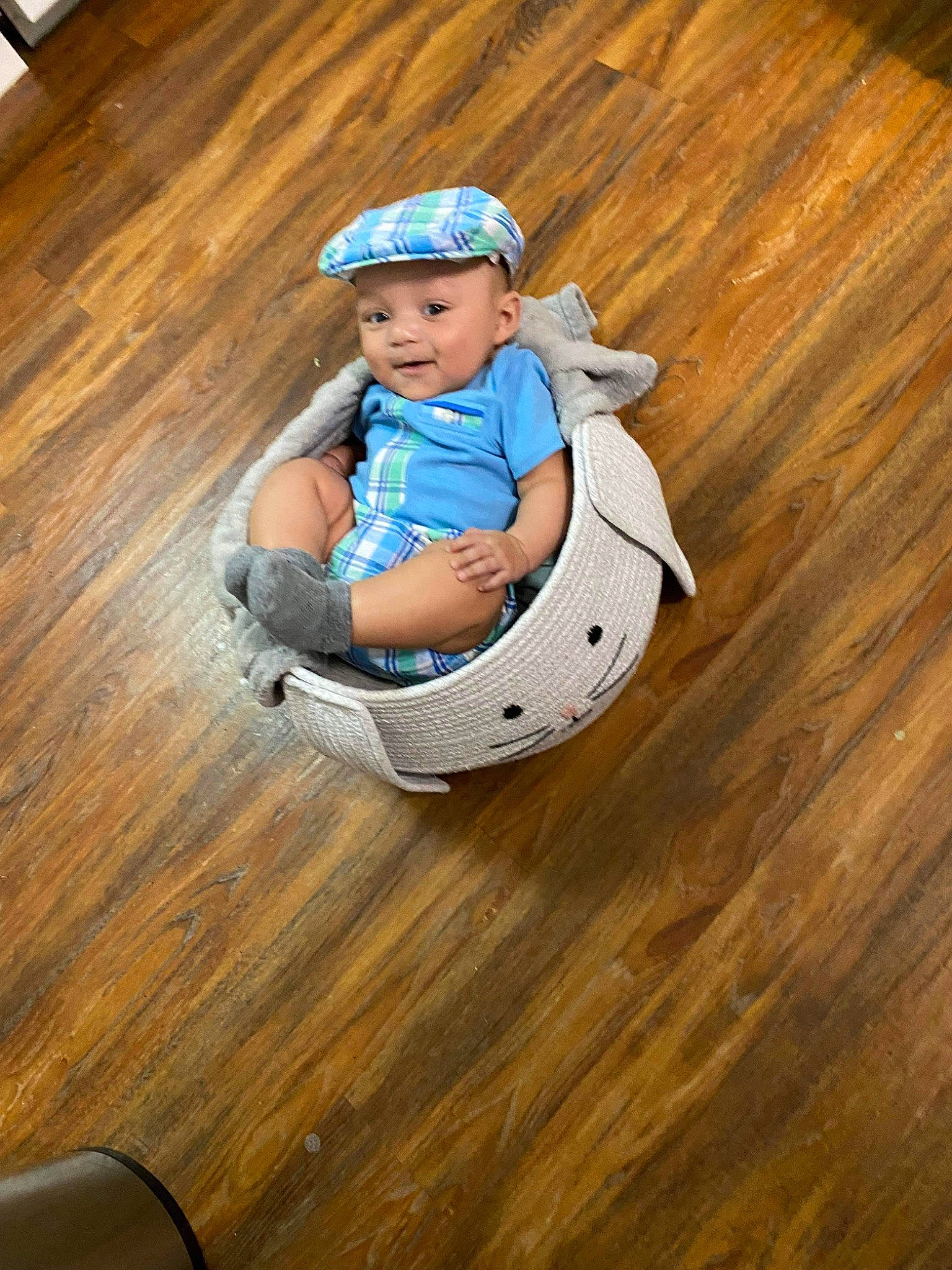 Layton joined the competition — help win amazing prizes! baby, baby_products, baby_toddler_clothing, child, comfort, denim, electric_blue, floor, flooring, happy, hardwood, headwear, jeans, laminate_flooring, leisure, person, t_shirt, toddler, varnish, wood