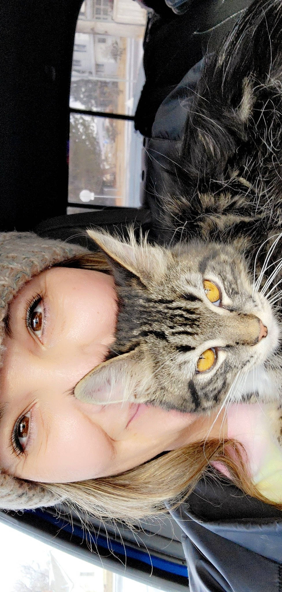 Gizzy is registered to the contest to win money with this photo: carnivore, cat, claw, domestic_short_haired_cat, eye, eyelash, eyewear, felidae, fur, gesture, iris, leg, mammal, nose, paw, skin, small_to_medium_sized_cats, snout, vertebrate, whiskers