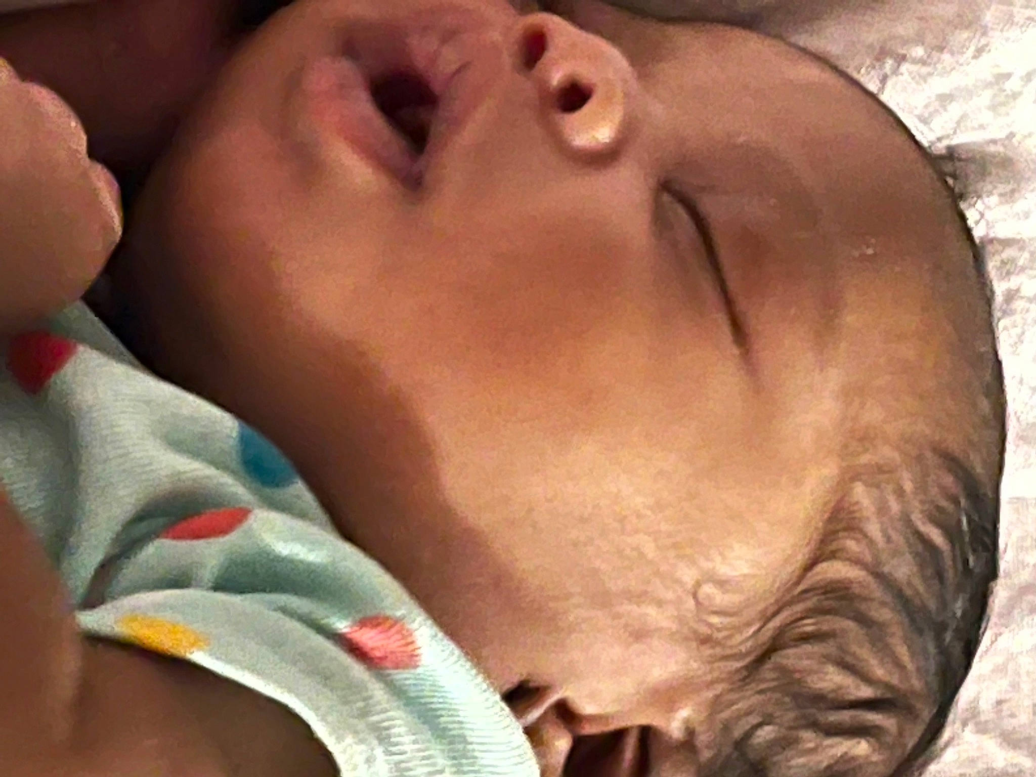 Tahari joined the competition — help win amazing prizes! cheek, chin, close_up, comfort, ear, eyebrow, eyelash, facial_expression, forehead, gesture, happy, jaw, lip, liver, mouth, neck, nose, person, skin, vertebrate