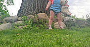 Kairi is registered to the contest to win money with this photo: boy, child, clothing, face, footwear, grass, head, lawn, male, nature, outdoors, park, person, photography, plant, portrait, rock, shorts, tree, vegetation