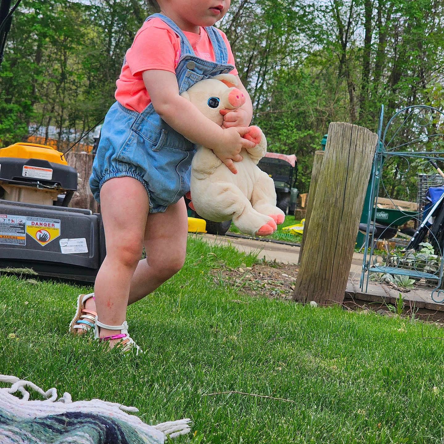 Kairi is registered to the contest to win money with this photo: baby, clothing, face, footwear, grass, head, lawn, nature, outdoors, pants, park, person, photography, plant, portrait, sandal, shoe, shorts, sneaker, tree