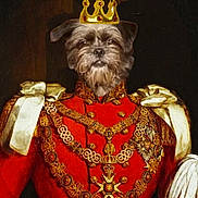 Némésis participe au concours pour gagner de l'argent avec cette photo : animal, animal_portrait, ceremonial, costume, crown, decoration, dog, dog_face, fancy, gold_chain, historical_style, indoor, luxury, majestic, medal, noble, portrait, red_clothing, regal, royal_uniform