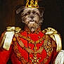 animal, animal_portrait, ceremonial, costume, crown, decoration, dog, dog_face, fancy, gold_chain, historical_style, indoor, luxury, majestic, medal, noble, portrait, red_clothing, regal, royal_uniform