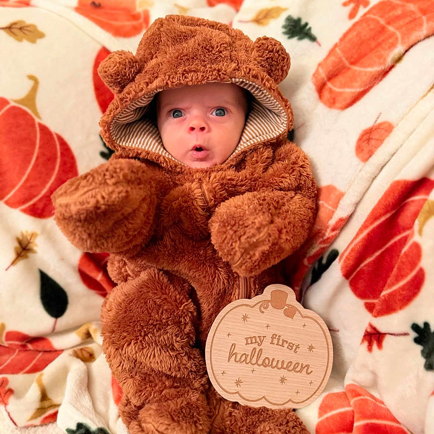 Kayce joined the competition — help win amazing prizes! autumn, baby, bear_costume, blanket, child, costume, cute, expression, face, fall, halloween, holiday, indoor, infant, person, pumpkin, sign, soft_texture, warm_clothing, wooden_sign