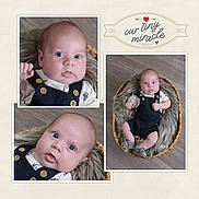 Asher joined the competition — help win amazing prizes! baby, infant, basket, fur, floor, clothing, overalls, buttons, portrait, collage, cute, child, newborn, expression, face, eyes, hands, feet, indoor, cozy