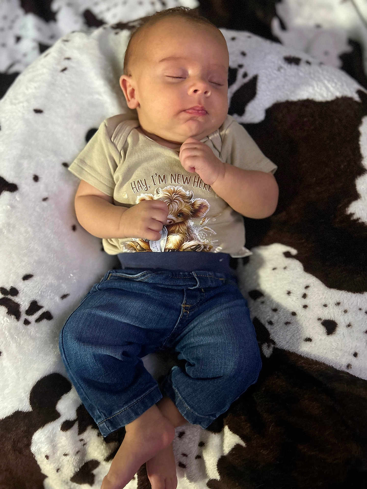Felix is registered to the contest to win money with this photo: baby, sleeping, infant, clothing, tshirt, jeans, denim, blanket, cow_print, soft_texture, cute, peaceful, child, portrait, indoors, resting, hands, feet, young, face