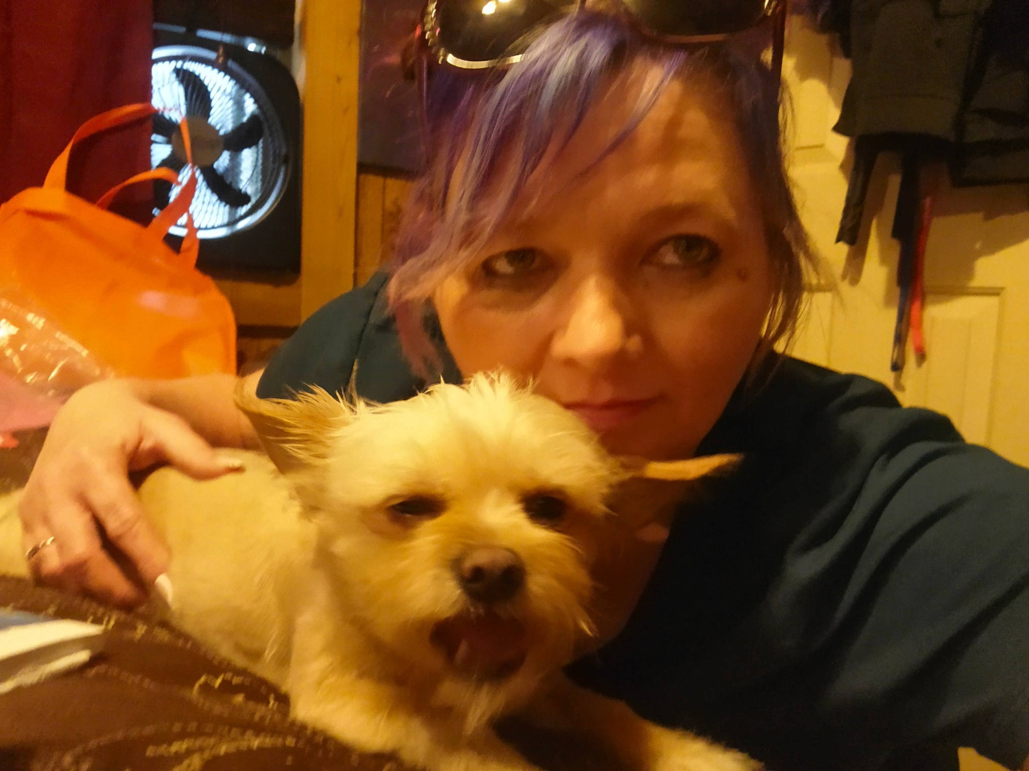 Skeeter joined the competition — help win amazing prizes! canidae, carnivore, chair, child, companion_dog, dog, dog_breed, fun, fur, maltepoo, non_sporting_group, pomeranian, poodle_crossbreed, puppy_love, small_terrier, snout, spitz, sporting_group, terrier, toy_dog