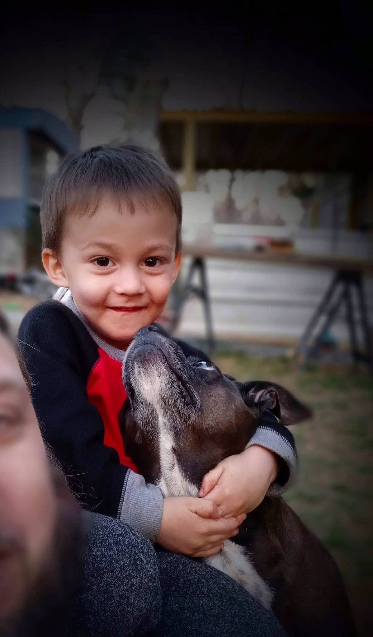 Julius joined the competition — help win amazing prizes! canidae, child, companion_dog, dog_breed, flash_photography, fur, goat, goats, hand, happy, joy, leisure, person, rabbit, sitting, skin, smile, toddler