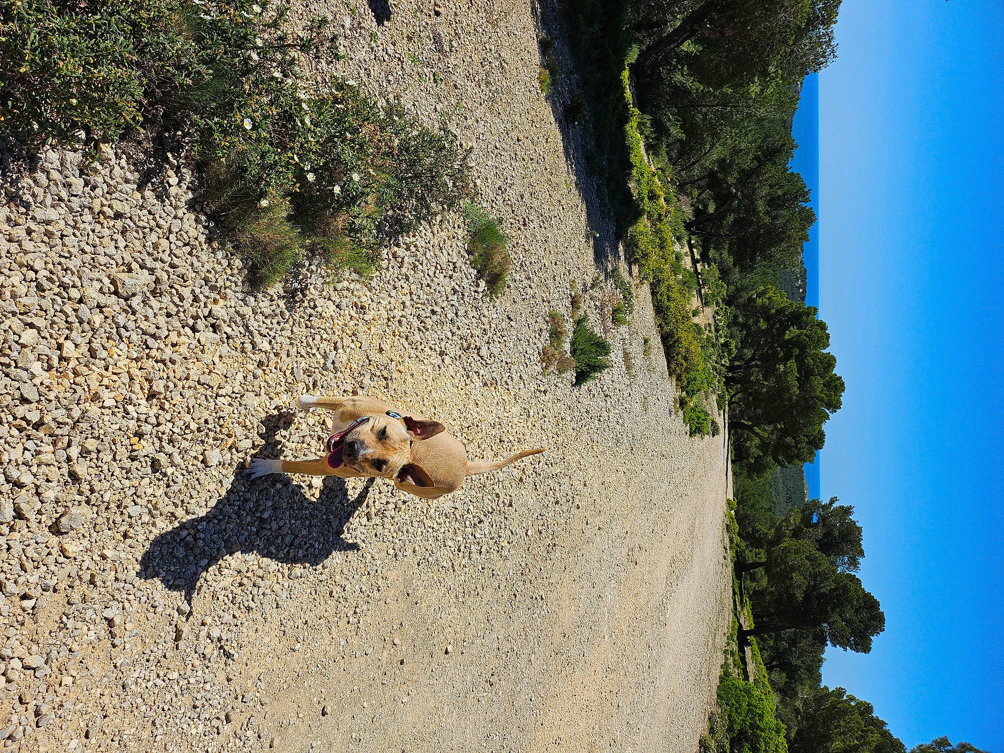 Usko participe au concours pour gagner de l'argent avec cette photo : bedrock, biome, coast, extreme_sport, geology, grass, klippe, landscape, leaf, leisure, natural_environment, people_in_nature, plant, recreation, rock, shadow, sky, soil, tree, wood