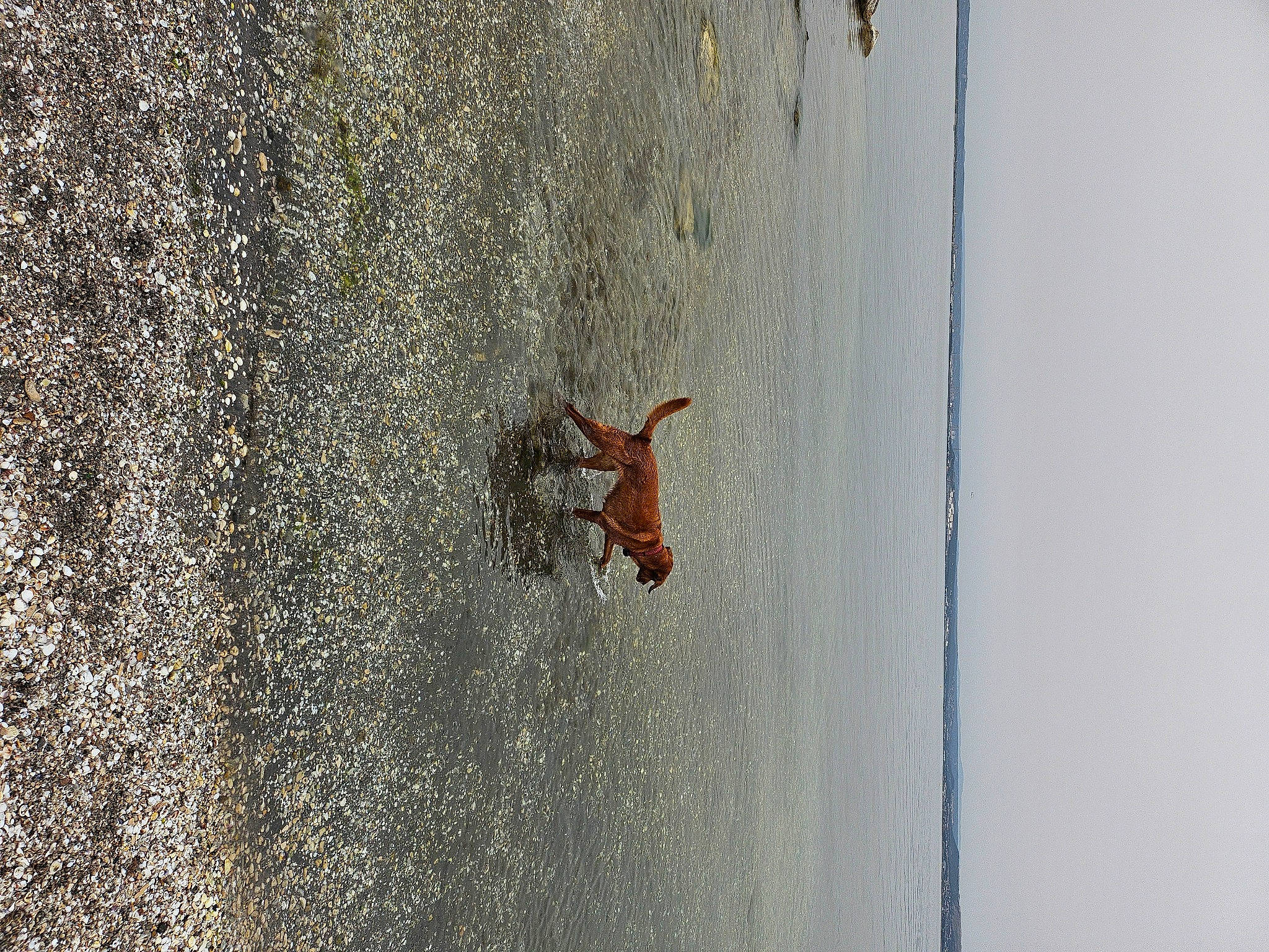 Prisca participe au concours pour gagner de l'argent avec cette photo : arthropod, asphalt, beach, concrete, door, fun, insect, landscape, macro_photography, pest, recreation, road_surface, sand, shadow, soil, tree, water, wind_wave, window, wood