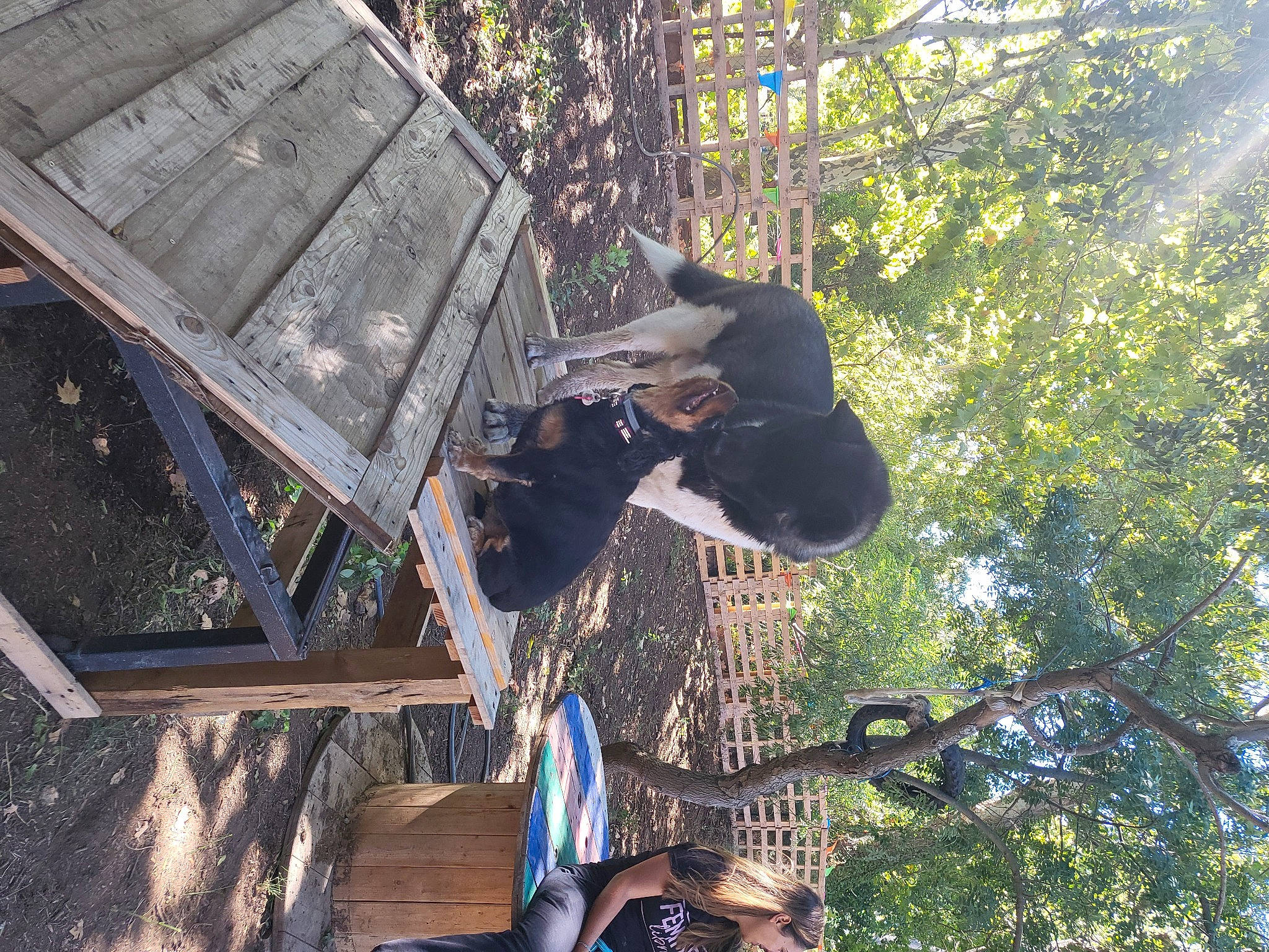 Mana a rejoint le concours — aidez-le/la à gagner de superbes lots ! adventure, biome, botany, forest, fun, grass, hat, jungle, leisure, people_in_nature, plant, recreation, roof, soil, tire, tree, trunk, wood