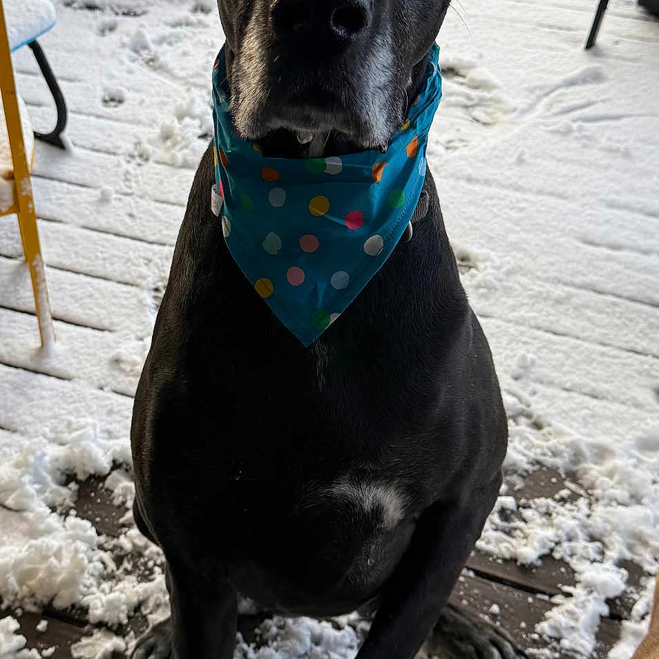 Oakley