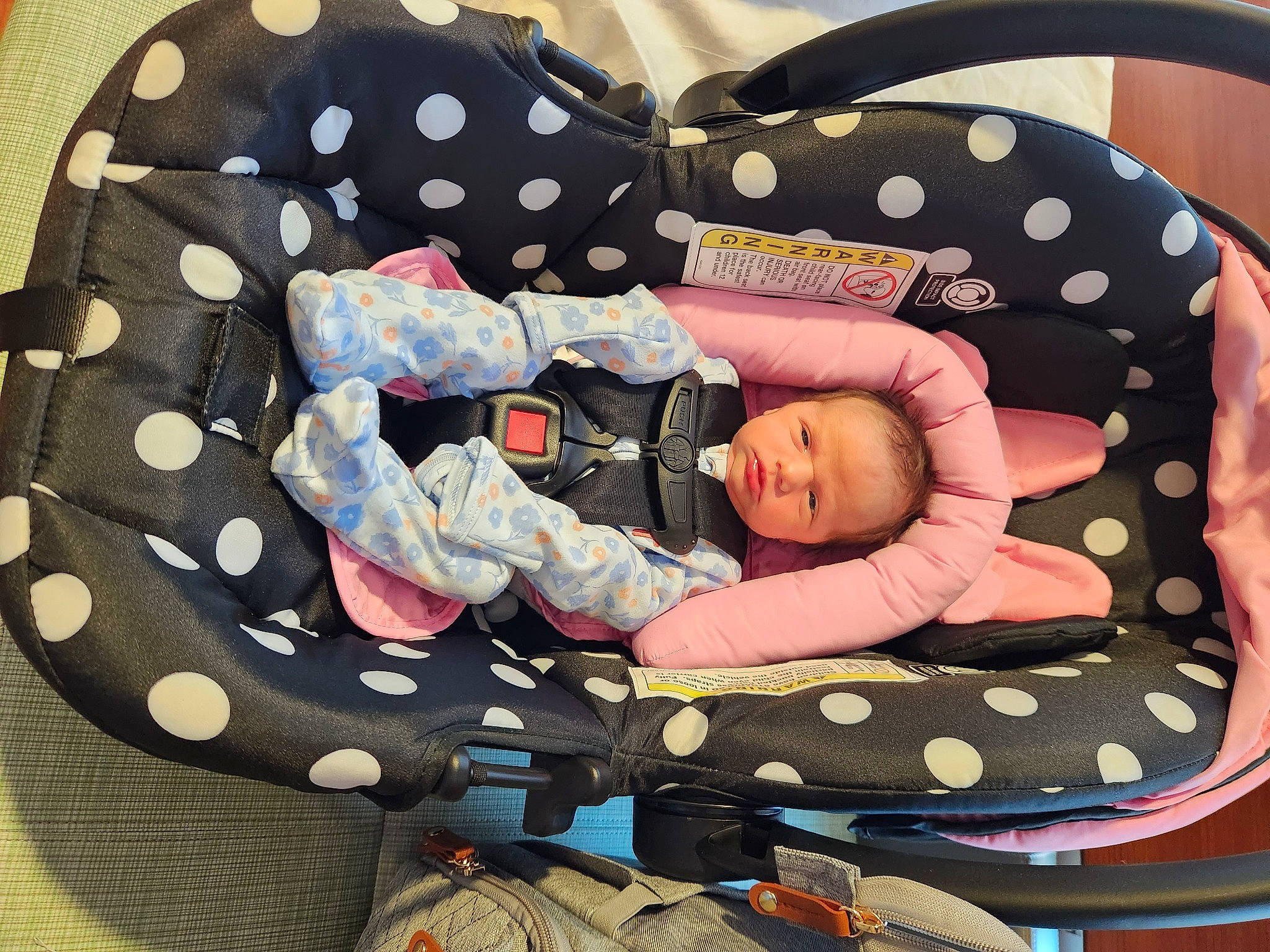 Sydney joined the competition — help win amazing prizes! baby, baby_carriage, baby_products, baby_sleeping, baby_toddler_clothing, baby_toys, bag, child, circle, comfort, fashion_accessory, head, infant_bed, lap, linens, nap, pattern, person, sitting, toddler