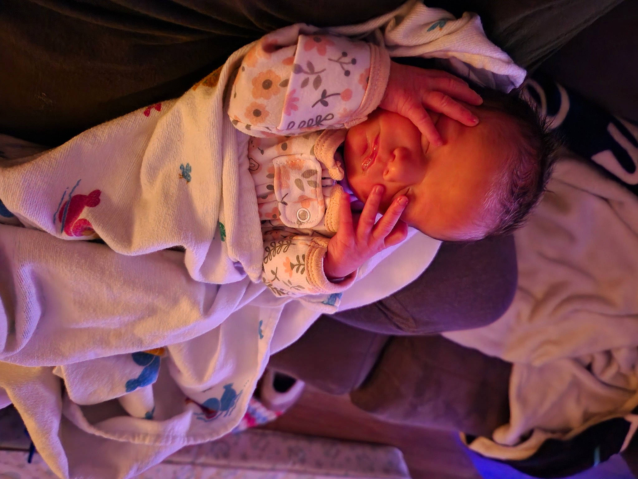 Sydney joined the competition — help win amazing prizes! baby, child, event, flesh, fun, happy, hat, magenta, peach, performance, person, pink, plant, purple, toddler, tradition