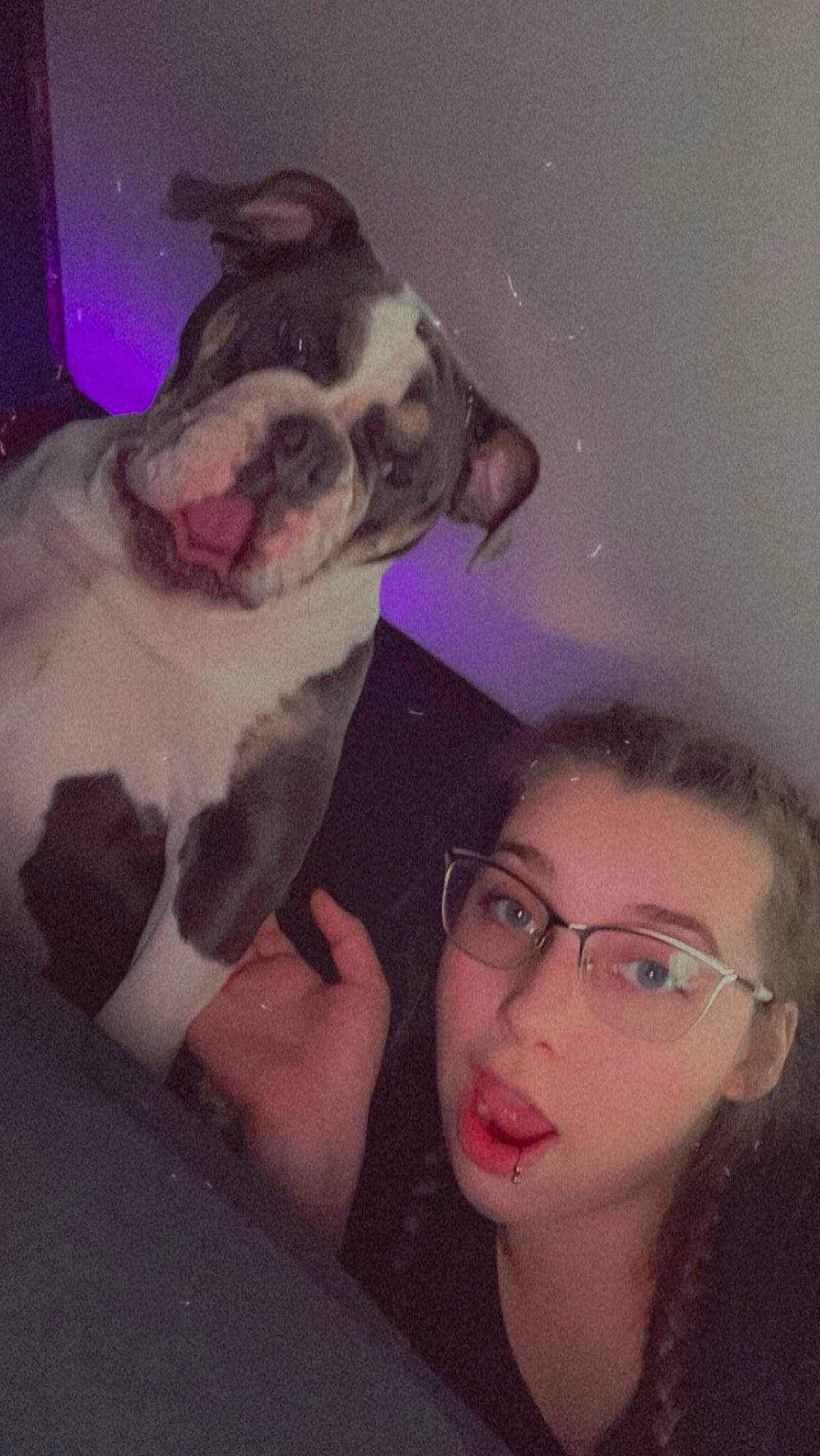 Gertrude is registered to the contest to win money with this photo: carnivore, companion_dog, cool, dog, dog_breed, ear, eyelash, fawn, flash_photography, gesture, glasses, happy, iris, jaw, nose, skin, snout, vision_care, whiskers, working_animal