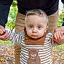 Lilian participe au concours pour gagner de l'argent avec cette photo : baby, child, adult_hands, outdoor, fall_leaves, striped_clothing, bear_cartoon, blue_eyes, supporting_hands, nature, greenery, cute, portrait, autumn, person, young_child, holding_hands, casual_wear, park, daylight