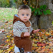 Lilian participe au concours pour gagner de l'argent avec cette photo : toddler, child, blue_eyes, curious, autumn, leaves, tree_trunk, outdoor, nature, fall, brown_pants, striped_hoodie, sneakers, grass, person, young_child, seasonal, casual_clothing, daylight, park