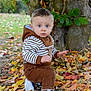 toddler, child, blue_eyes, curious, autumn, leaves, tree_trunk, outdoor, nature, fall, brown_pants, striped_hoodie, sneakers, grass, person, young_child, seasonal, casual_clothing, daylight, park
