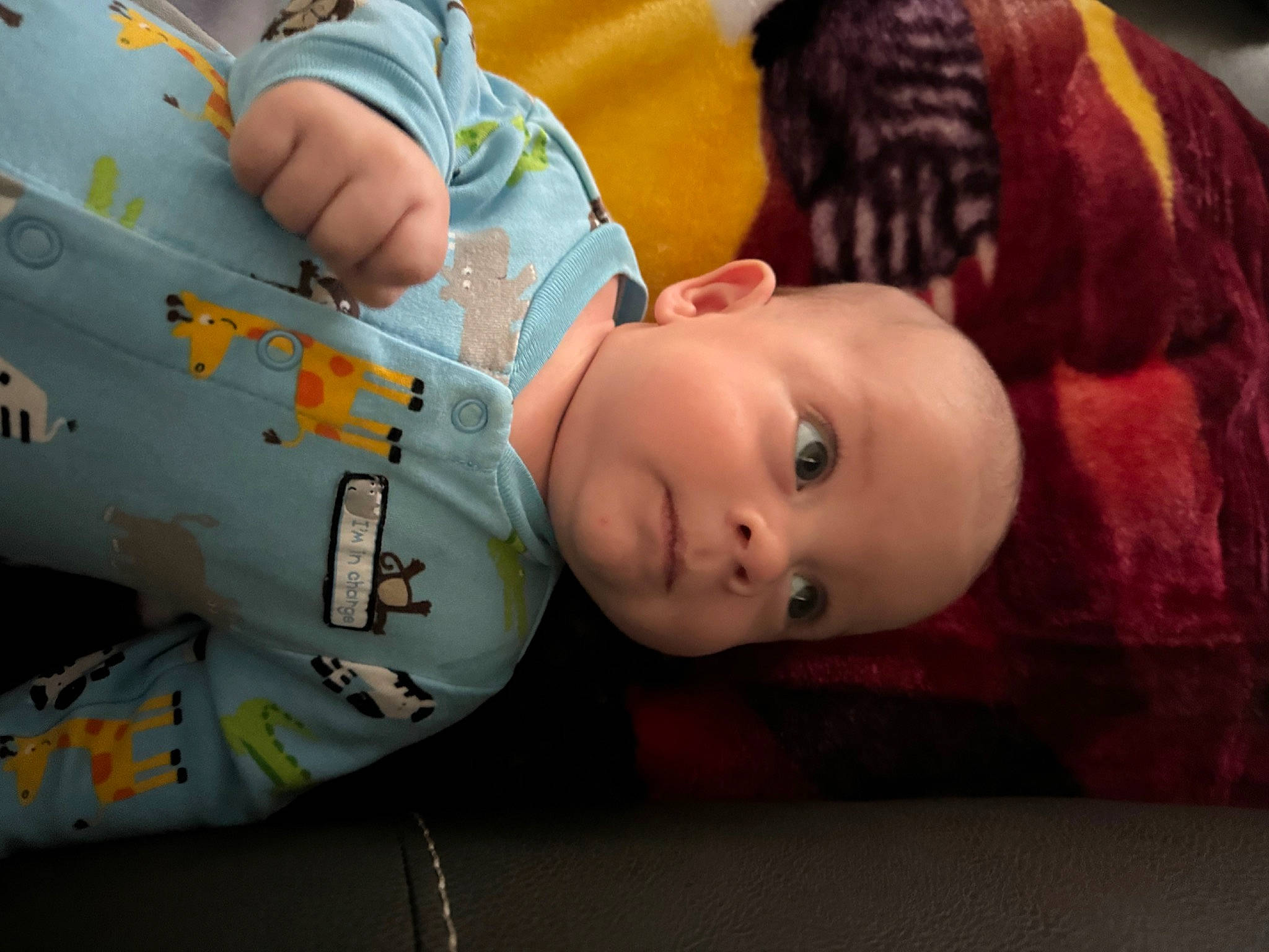 Carlyle joined the competition — help win amazing prizes! aircraft, baby, baby_products, baby_toys, cheek, child, comfort, eyelash, fun, leisure, linens, mouth, pattern, person, play, room, sitting, skin, toddler, toy