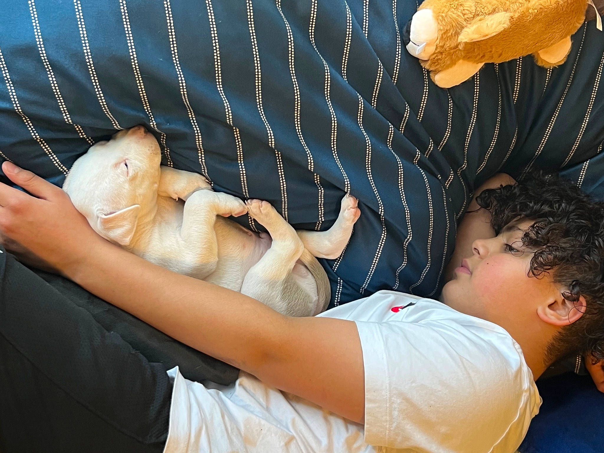 King joined the competition — help win amazing prizes! abdomen, bracelet, chest, child, elbow, electric_blue, fashion_accessory, fawn, finger, flash_photography, fun, gesture, hand, happy, interaction, jewellery, joint, people_in_nature, textile, wrist