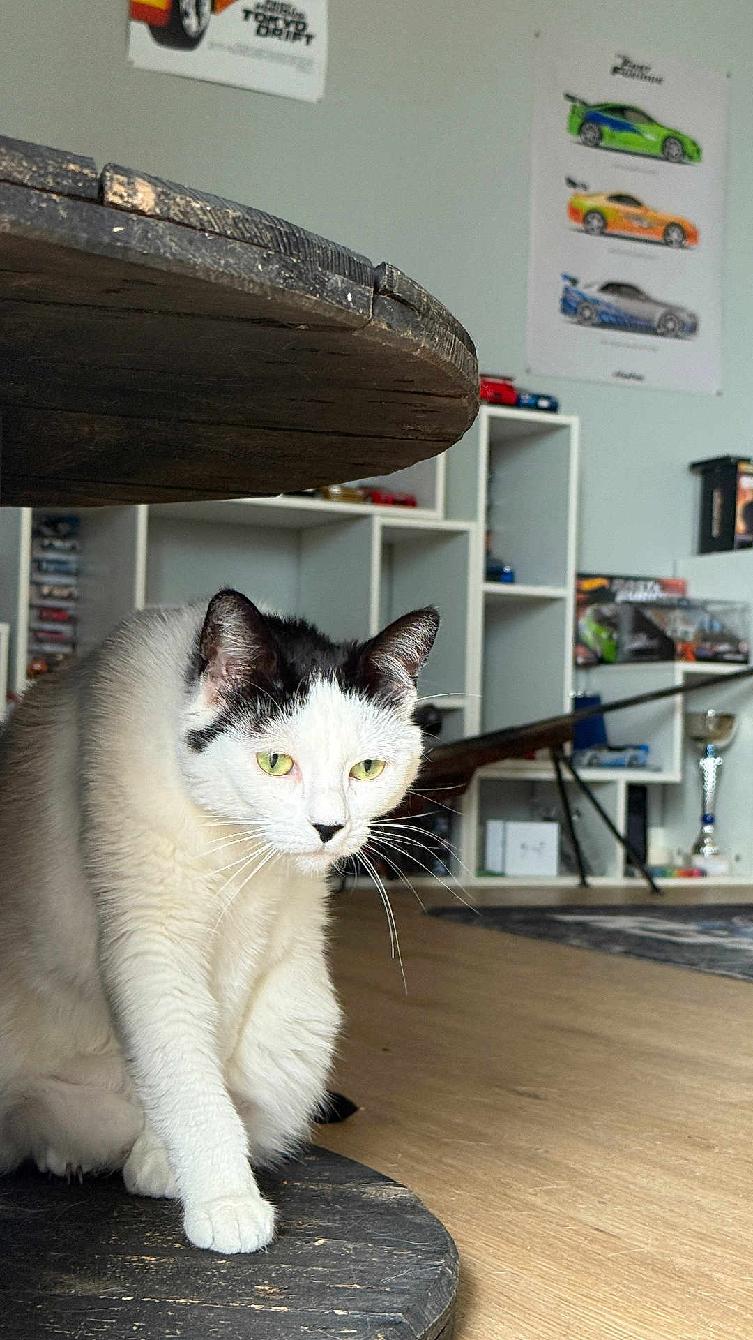Letty participe au concours pour gagner de l'argent avec cette photo : cat, black_and_white, indoor, wooden_table, floor, shelf, poster, toy_car, curious, pet, whiskers, feline, home, cozy, animal, green_eyes, fur, cautious, decor, living_room