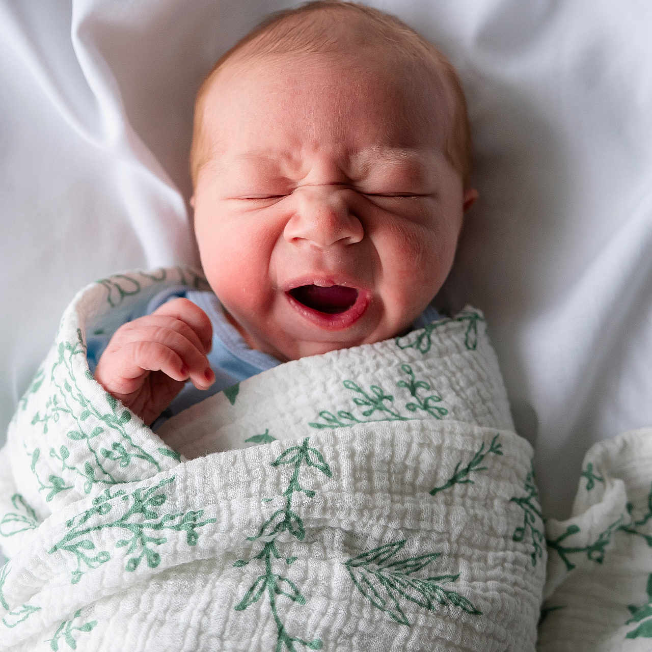 Charles joined the competition — help win amazing prizes! baby, newborn, infant, yawning, wrapped, blanket, white_background, sleepy, cute, face, hand, skin, portrait, cozy, soft, fabric, peaceful, child, bed, resting