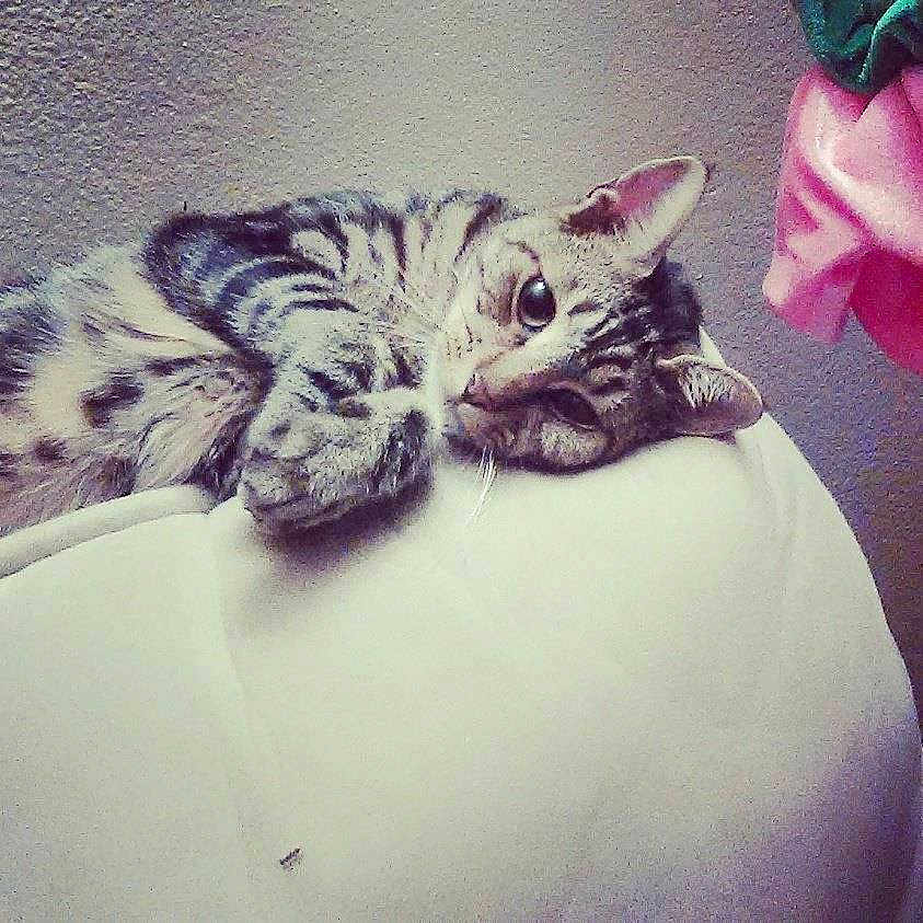 Precious