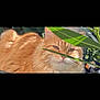 animal, calm, cat, close_up, cute, domestic_cat, feline, fluffy, greenery, leaf, nature, orange_cat, outdoor, pet, plant, relaxed, resting, soft_light, sunlight, whiskers