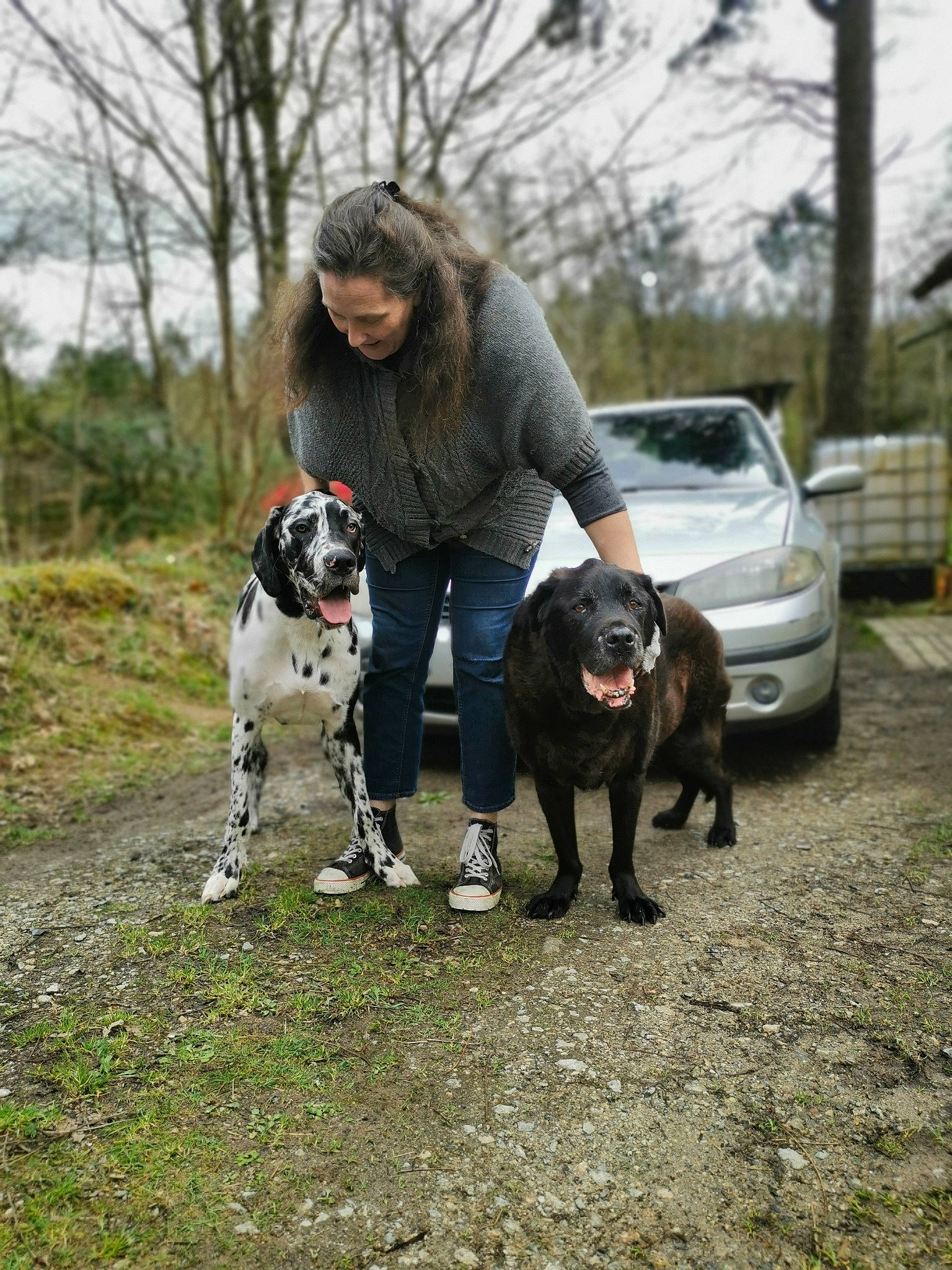 Baby U-two a rejoint le concours — aidez-le/la à gagner de superbes lots ! boot, canidae, car, carnivore, companion_dog, dalmatian, dog, dog_breed, fawn, grass, mammal, plant, recreation, sky, smile, sporting_group, tire, tree, vehicle, wheel