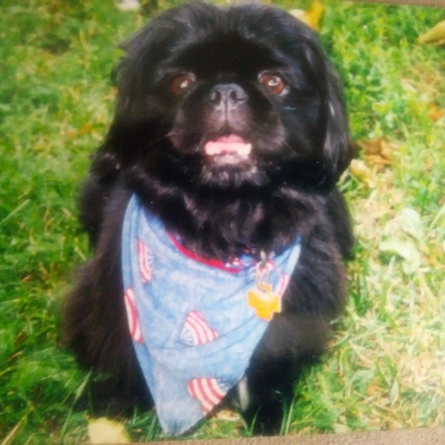 Benji