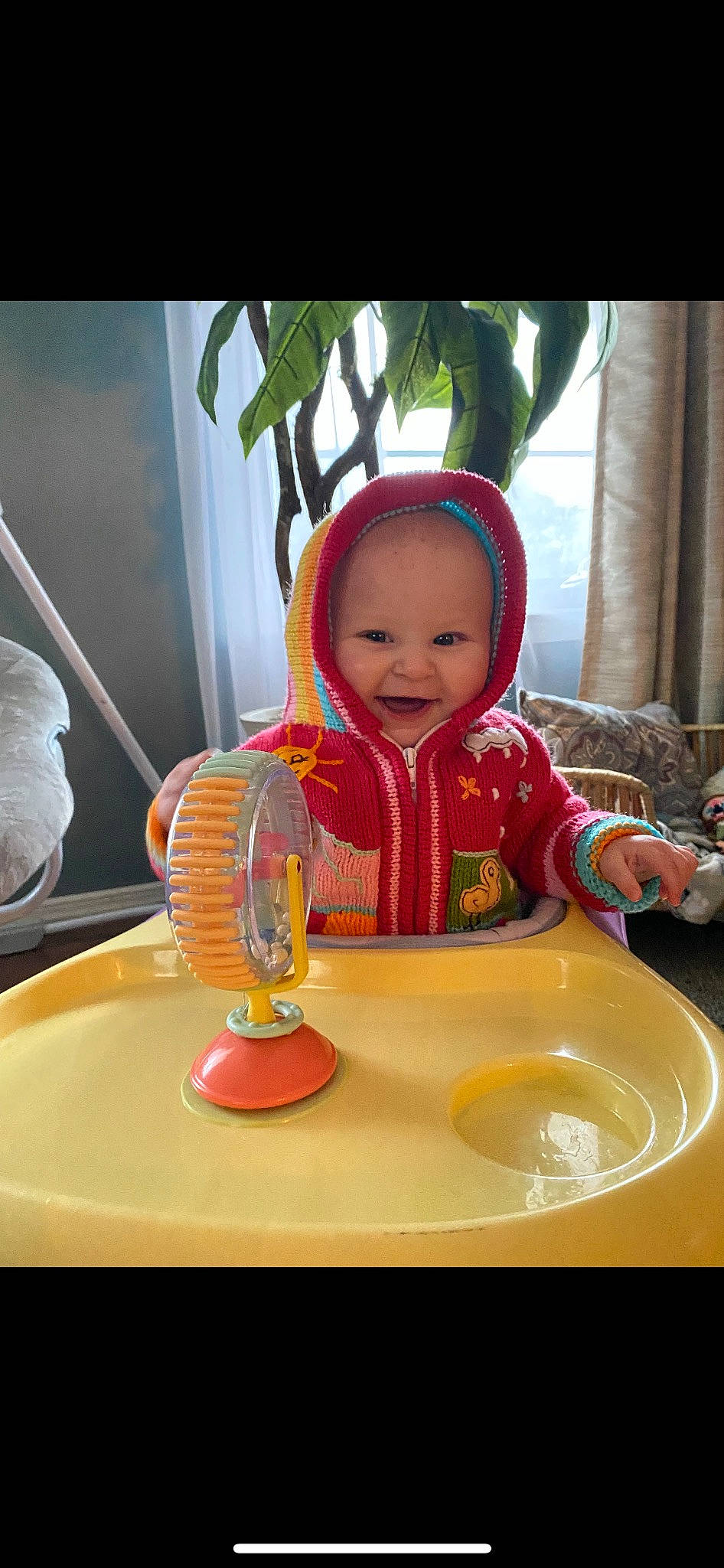 Juniper joined the competition — help win amazing prizes! baby, baby_toddler_clothing, chair, child, curtain, dishware, drinkware, food, fun, happy, person, plant, plate, porcelain, room, serveware, sitting, smile, table, tableware