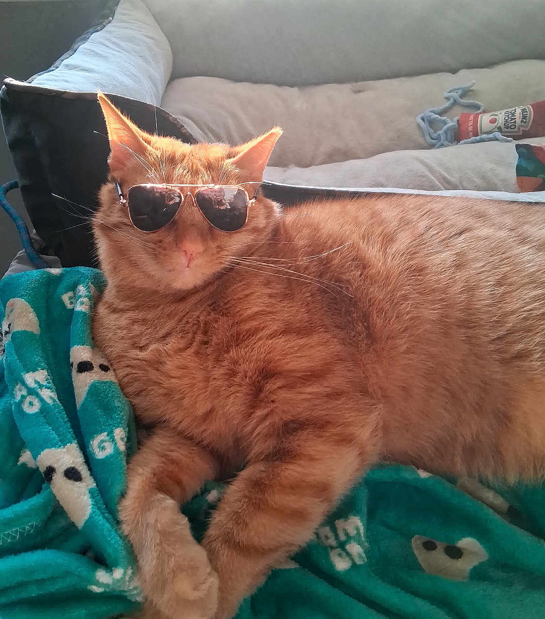 Sunny