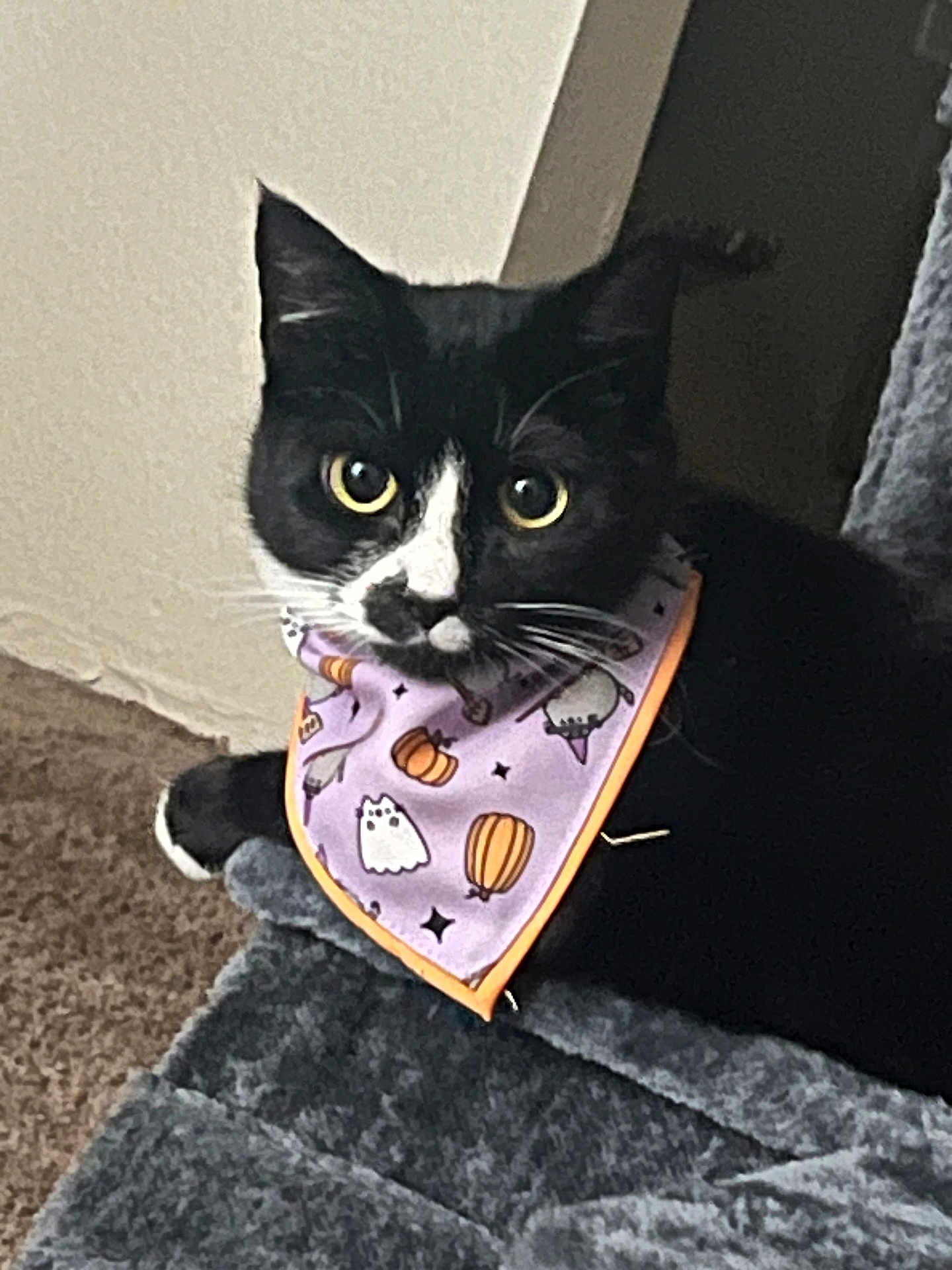 Ella
