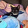 Binx