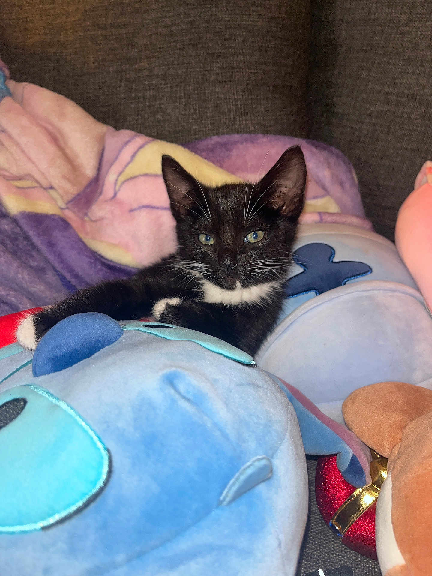 Binx